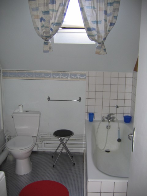 La salle de bains avec WC.